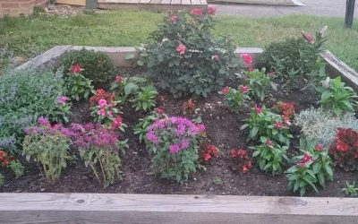 Our Beautiful New Welcoming Flower Garden