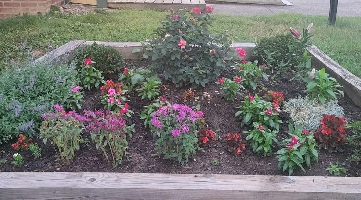 Our Beautiful New Welcoming Flower Garden