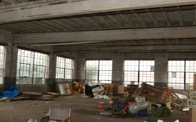 A Decade of Transformation: Our Journey from Basement to Museum