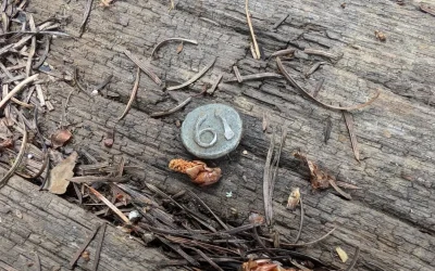 A Hidden Gem: Date Nails on Railroad Ties